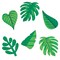 Carson Dellosa One World Tropical Leaves Cut-Outs, 36 Pieces, PK3 120593 - alternate 2